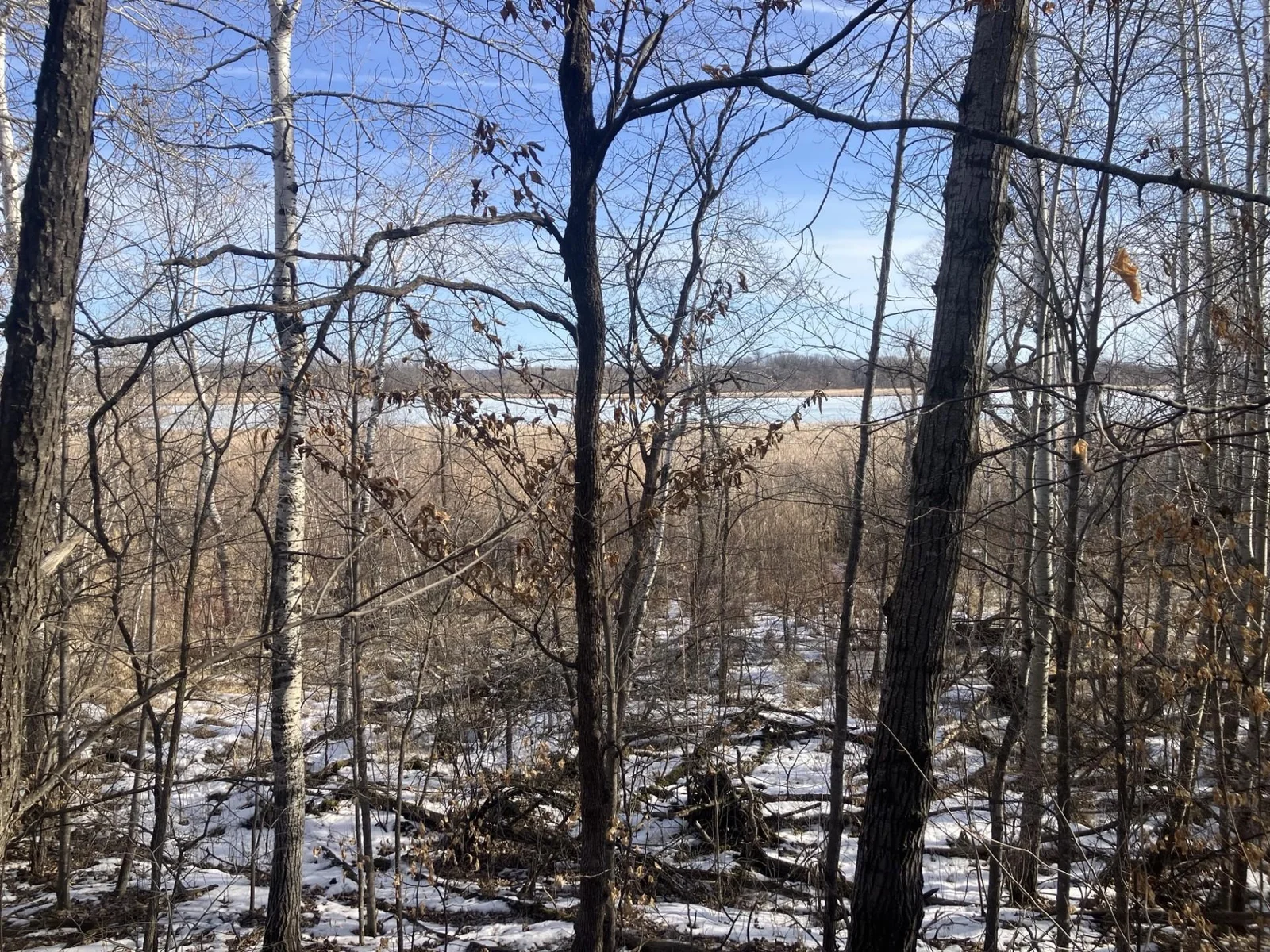 thumbnail_IMG_3928.jpg