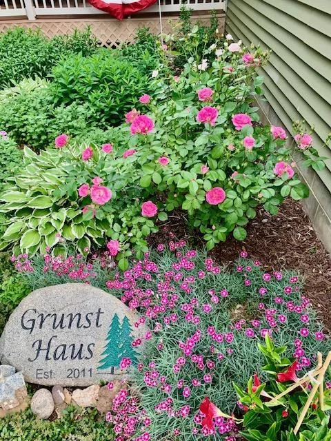 NICE LANDSCAPING