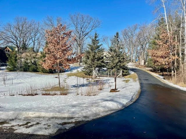 TAR DRIVEWAY