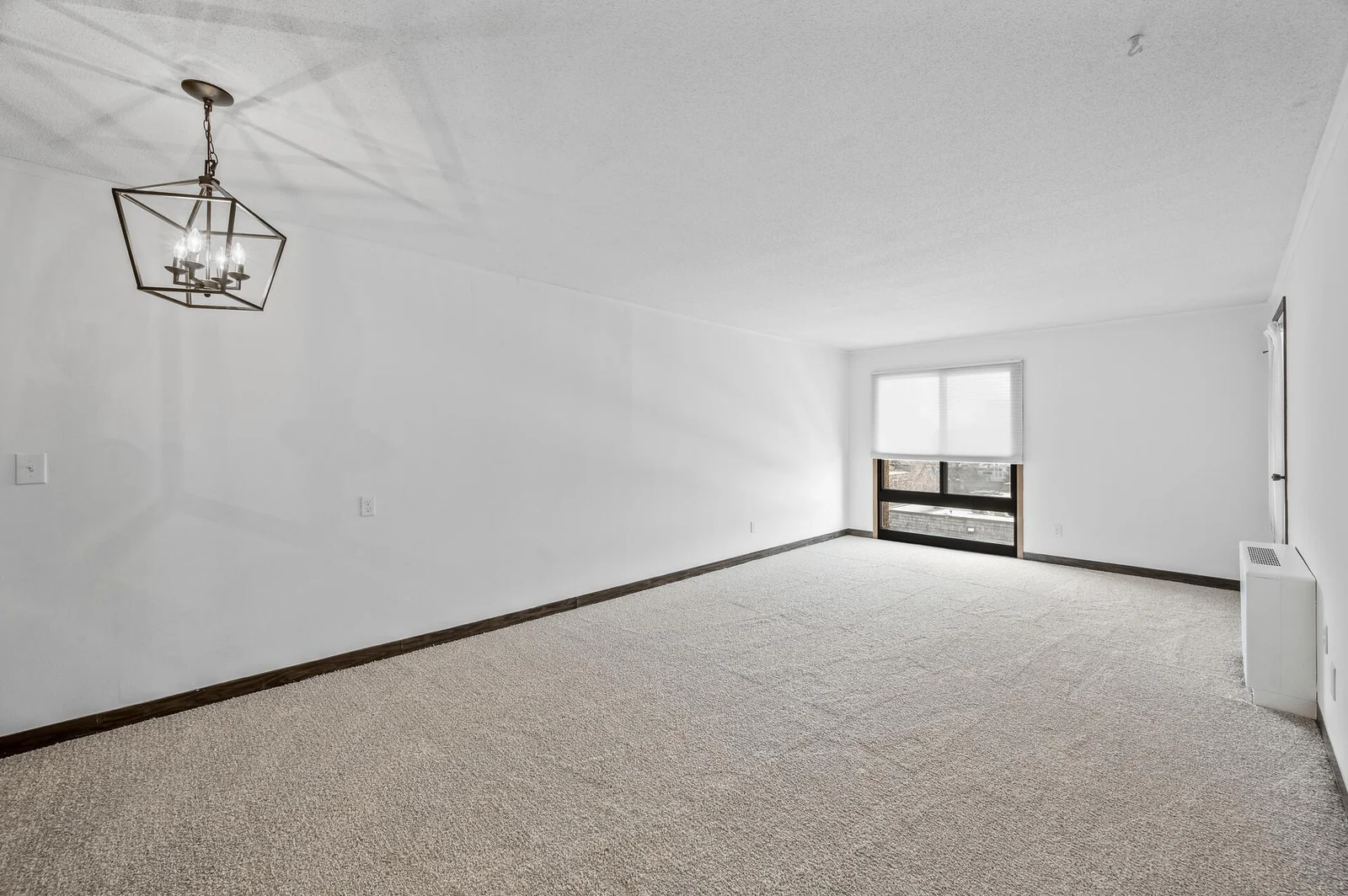 Dining/Living Room