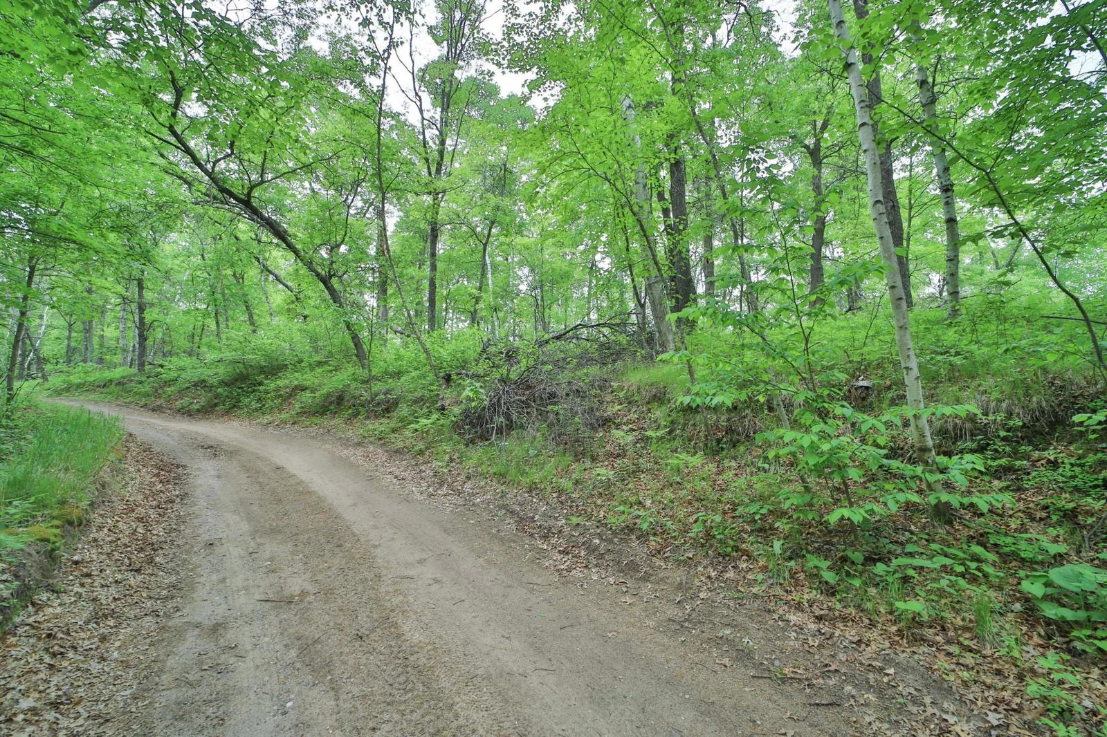 Thumbnail photo 3