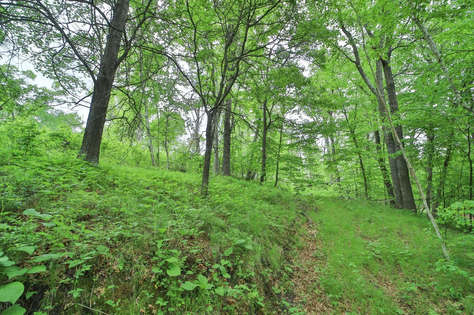 Thumbnail photo 4