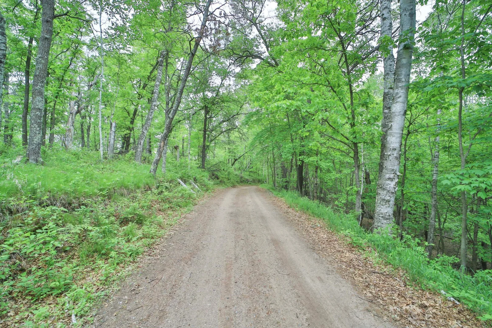Photo 1 of Timber Ridge