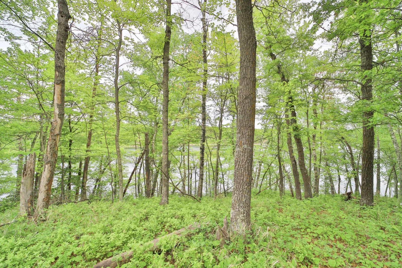 Thumbnail photo 7