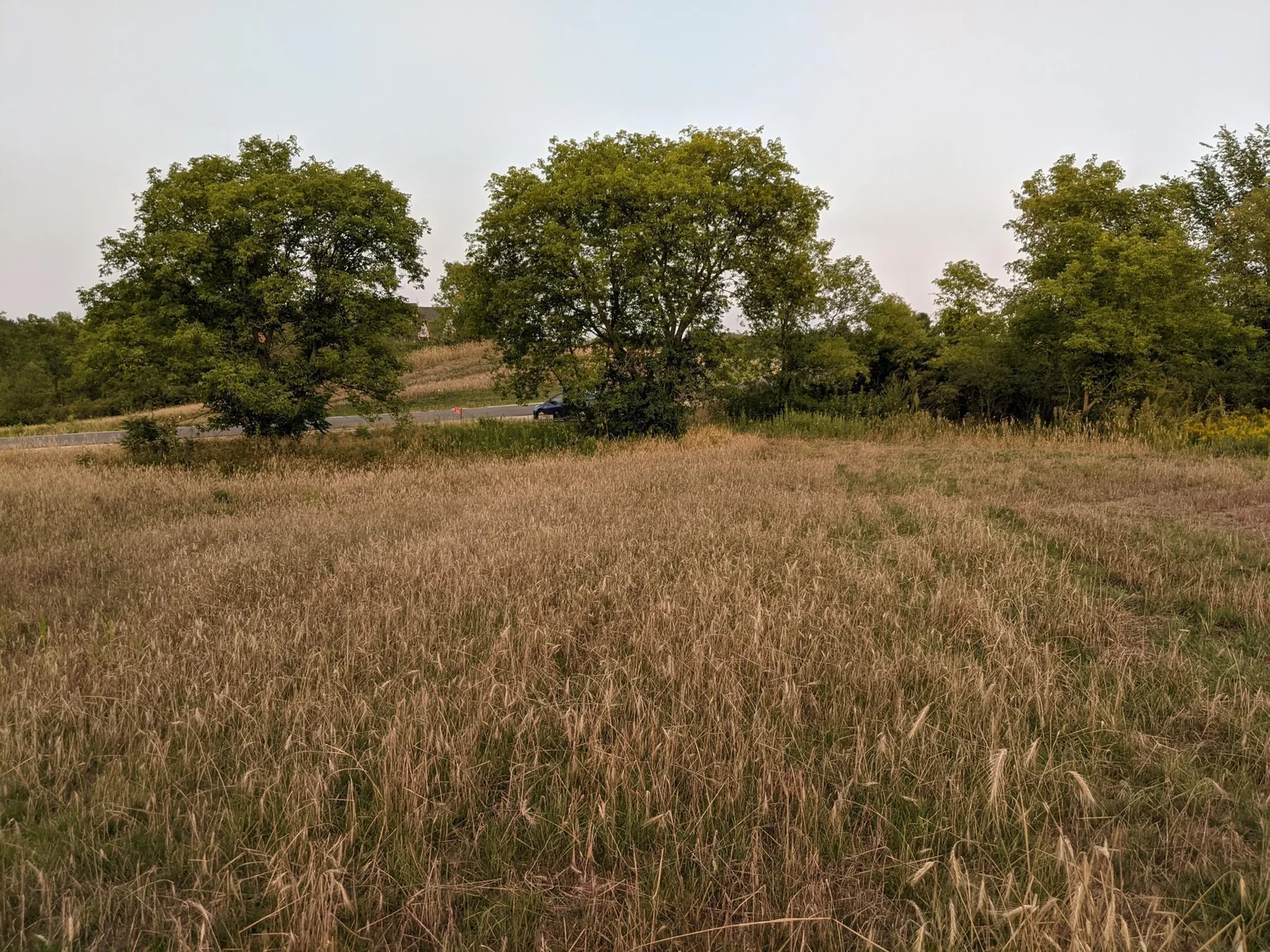 Thumbnail photo 5