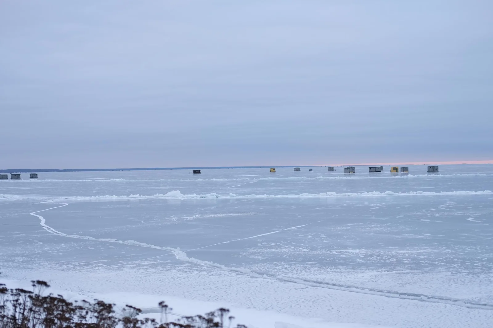 DSCF8459.JPG