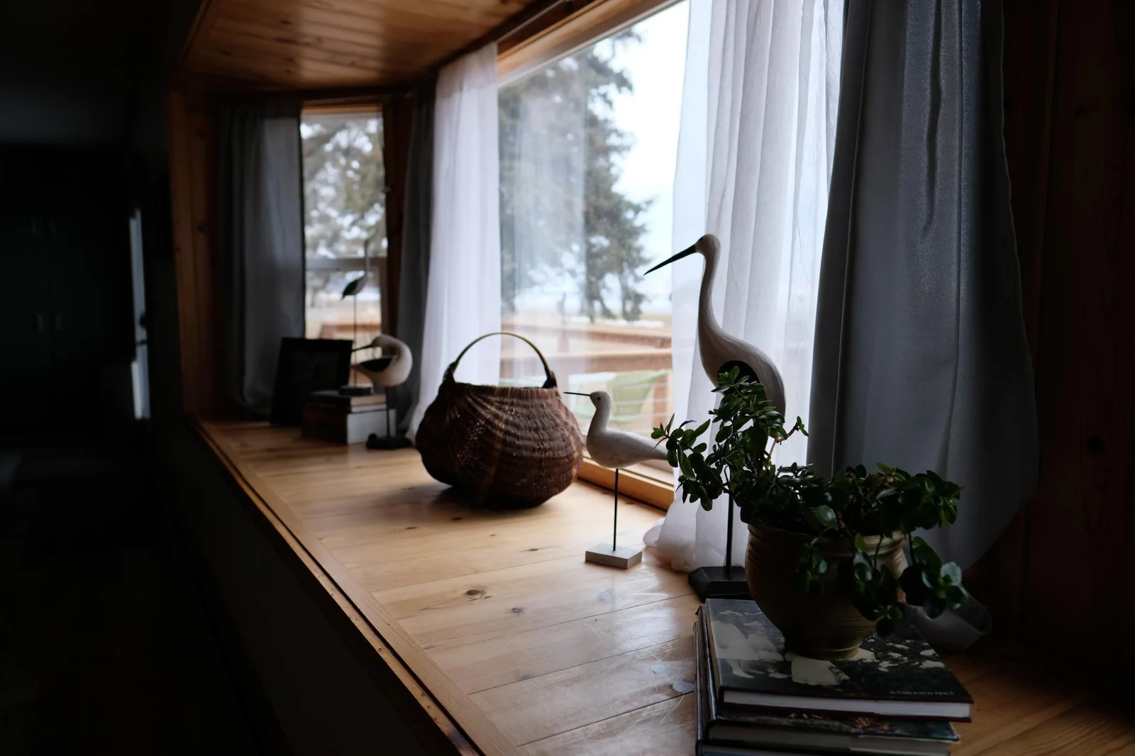 DSCF8382.JPG