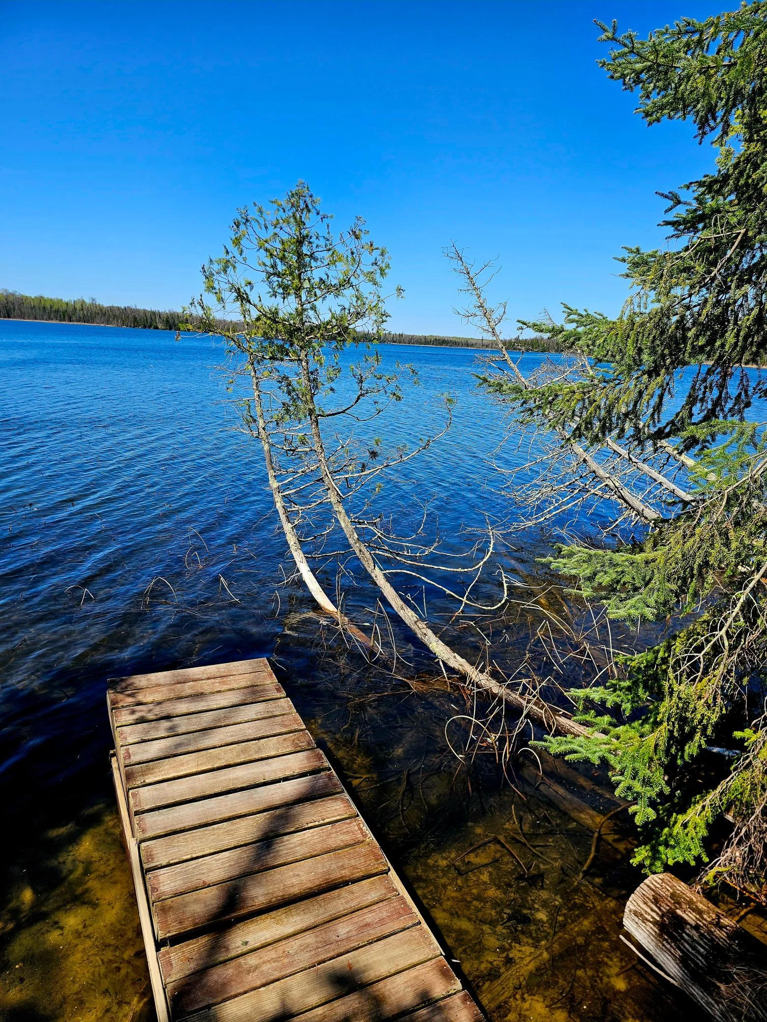 Dock #2