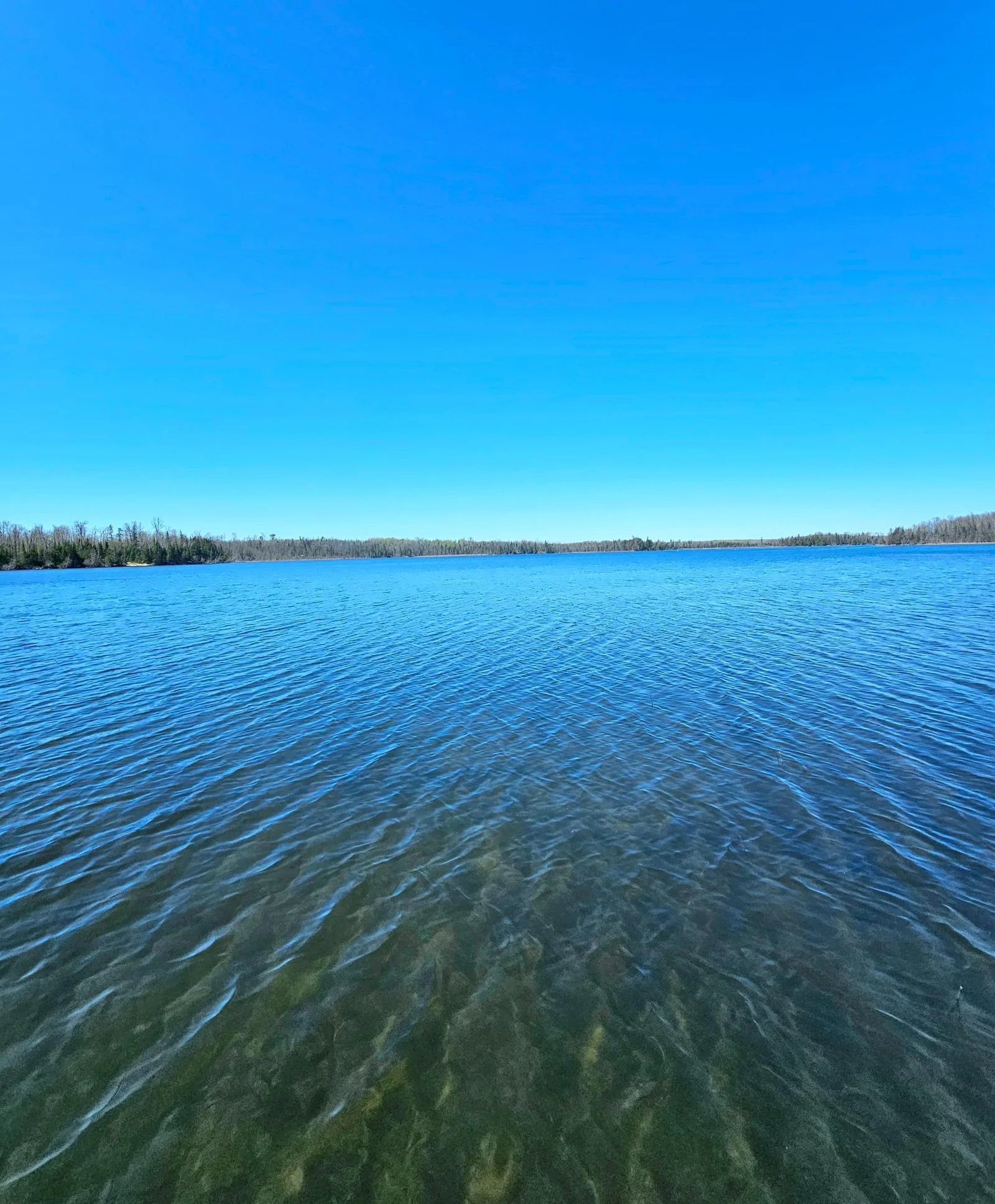 View from dock