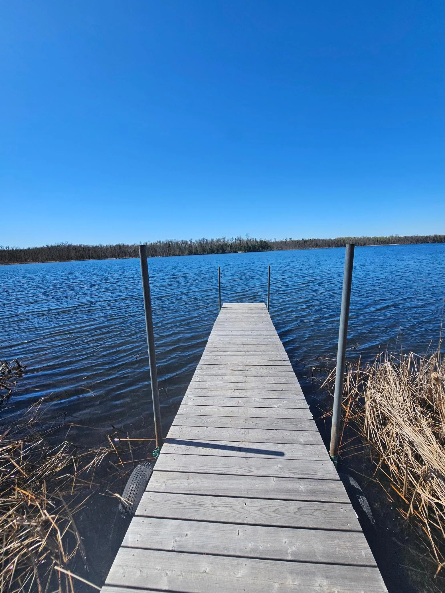 Dock