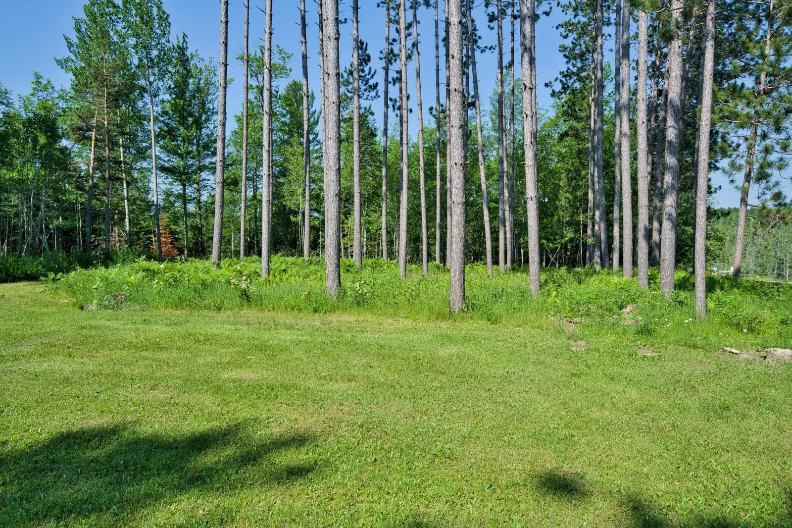 PINE STUDDED FRONT OF DRIVEWAY