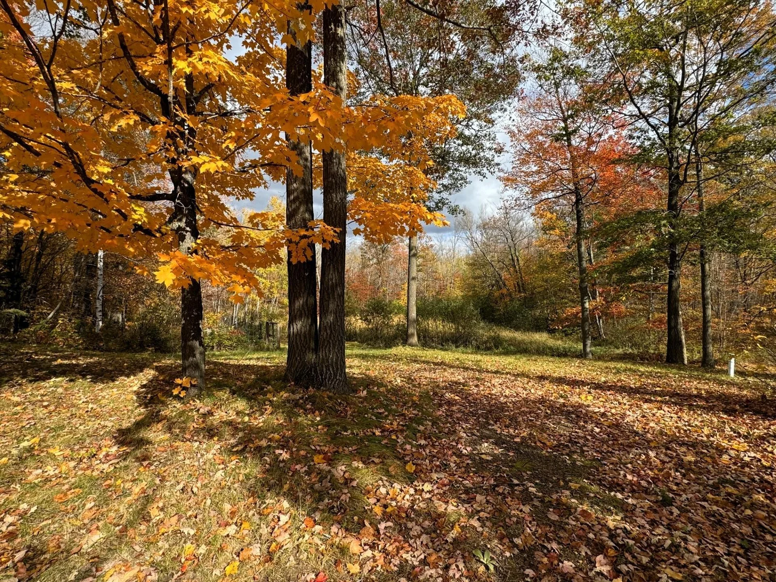 Thumbnail photo 64