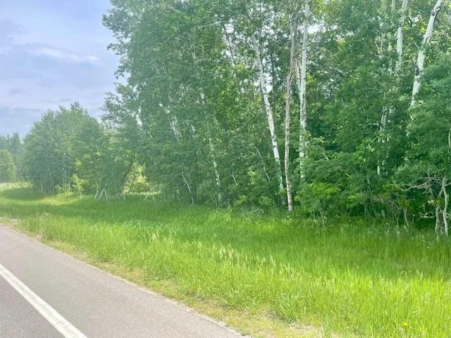 2.5 WOODED ACRES
