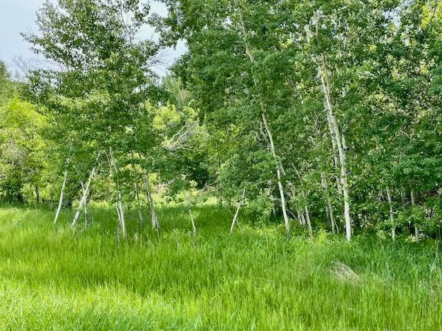 2.5 WOODED ACRES