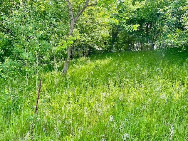 SIDE HILL AREA