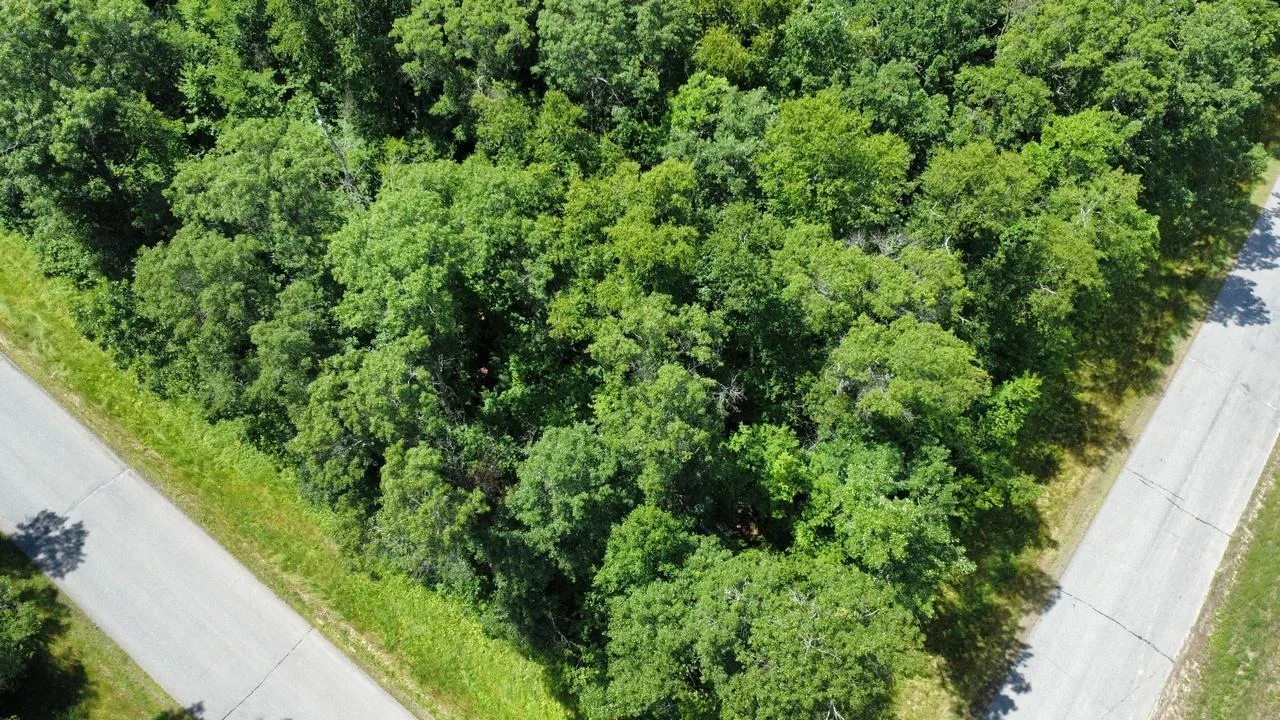 Nicely wooded