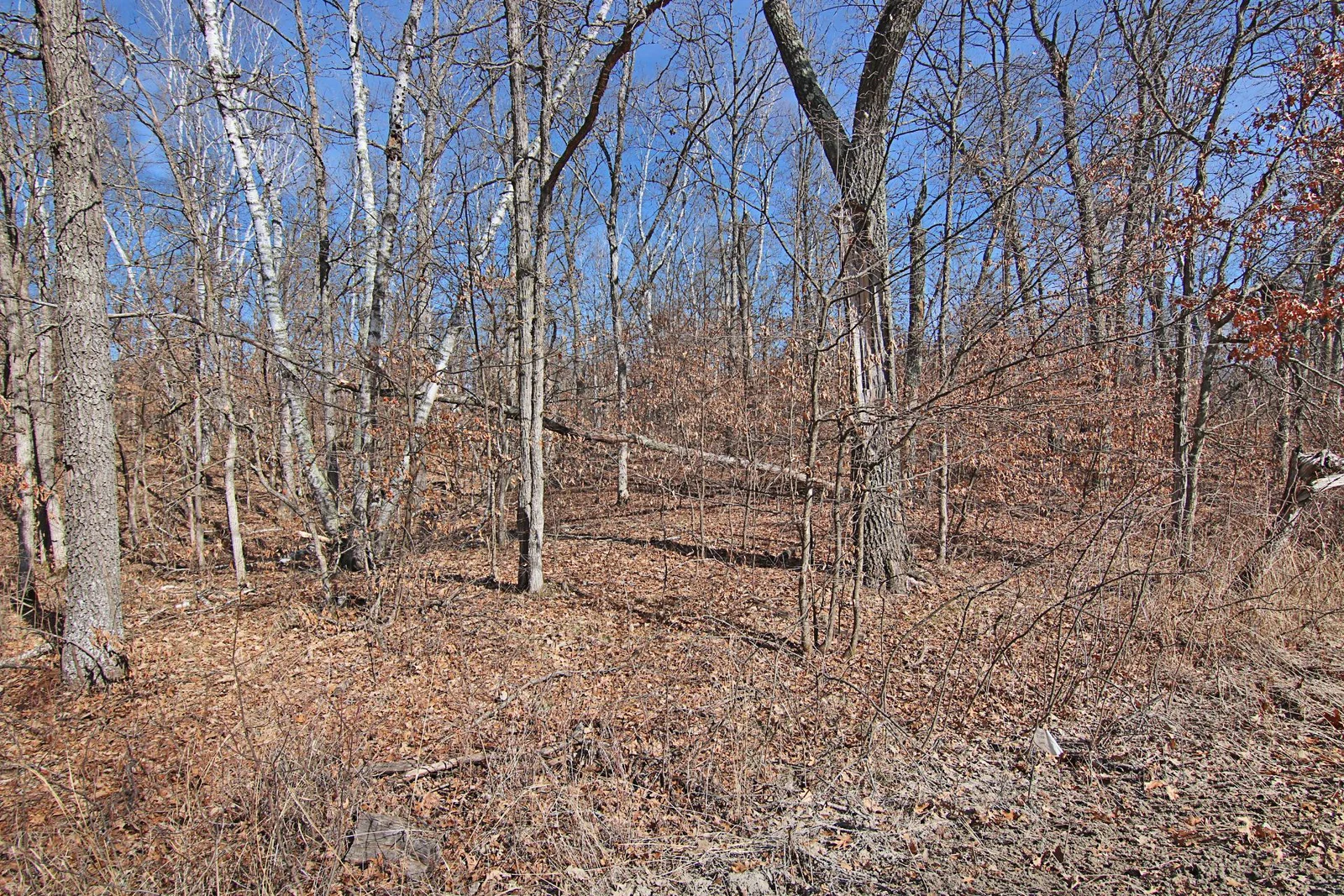 Thumbnail photo 23