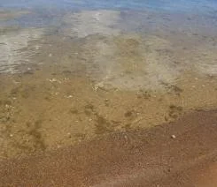 Sand.JPG