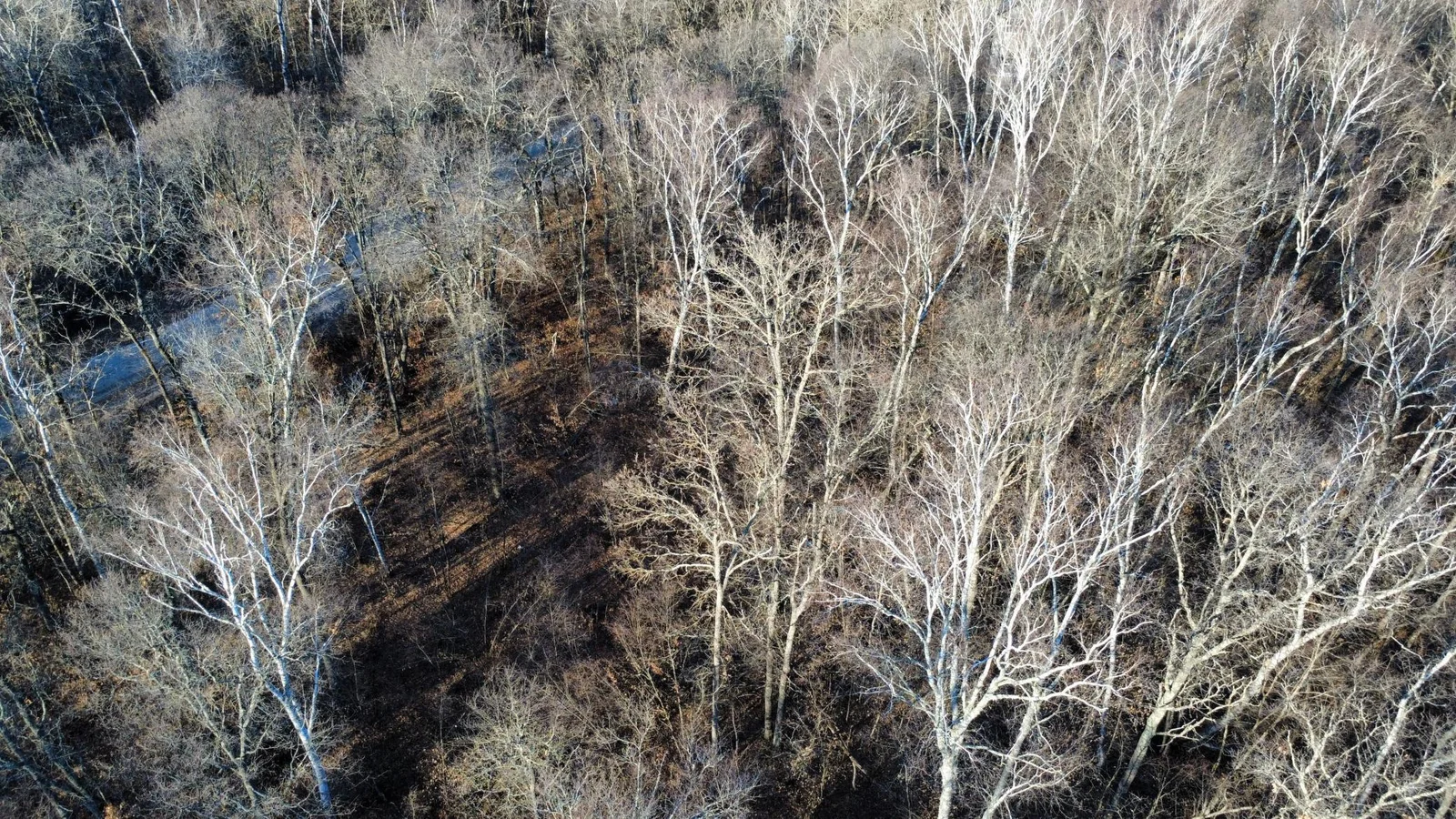 dji_fly_20250322_083722_47_1742650649997_photo_optimized.jpg