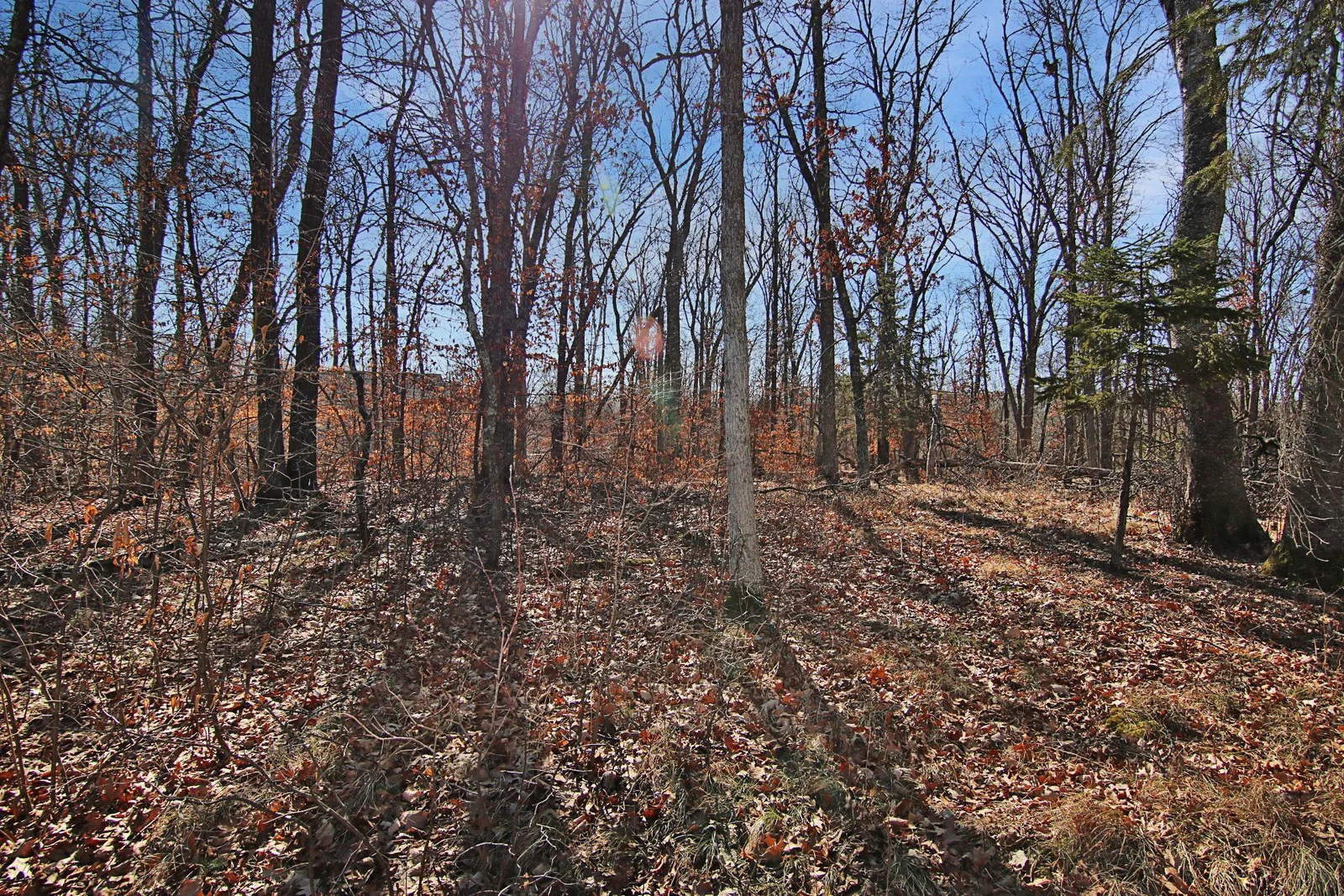 Thumbnail photo 15