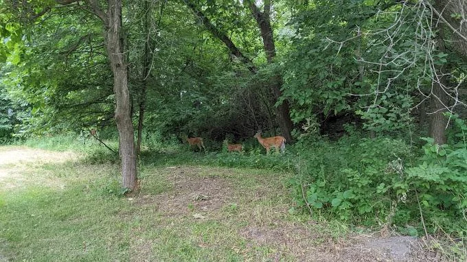 Gervais Mill Park