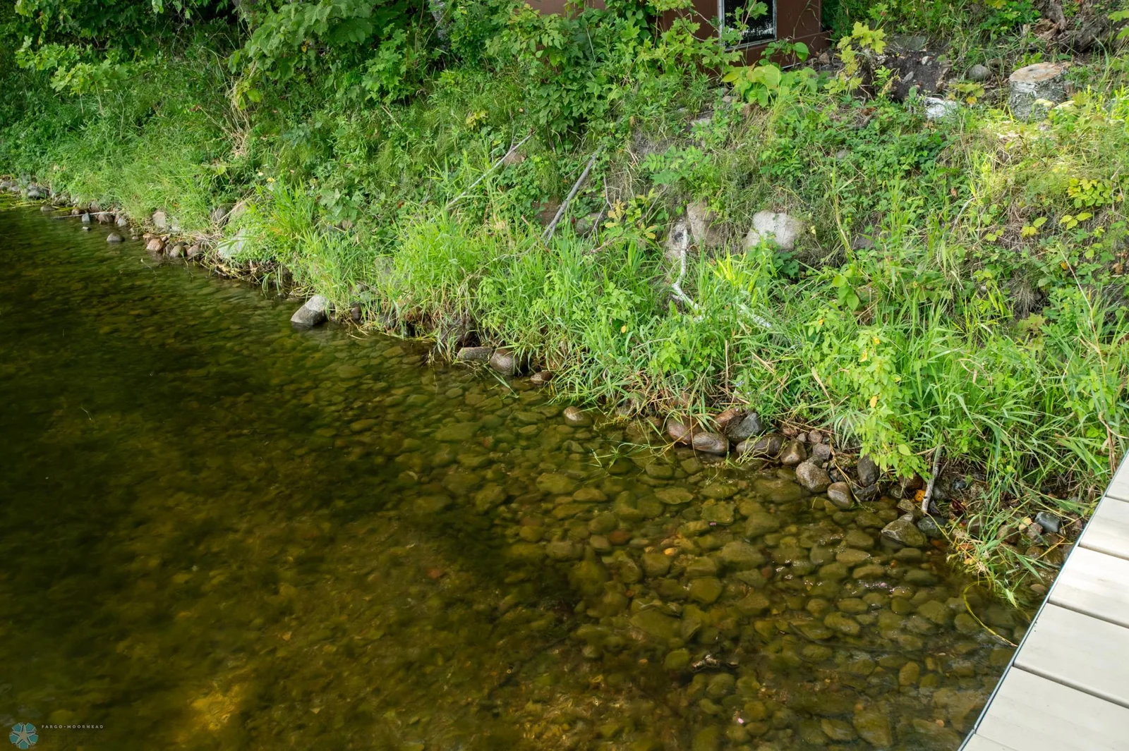 Shoreline