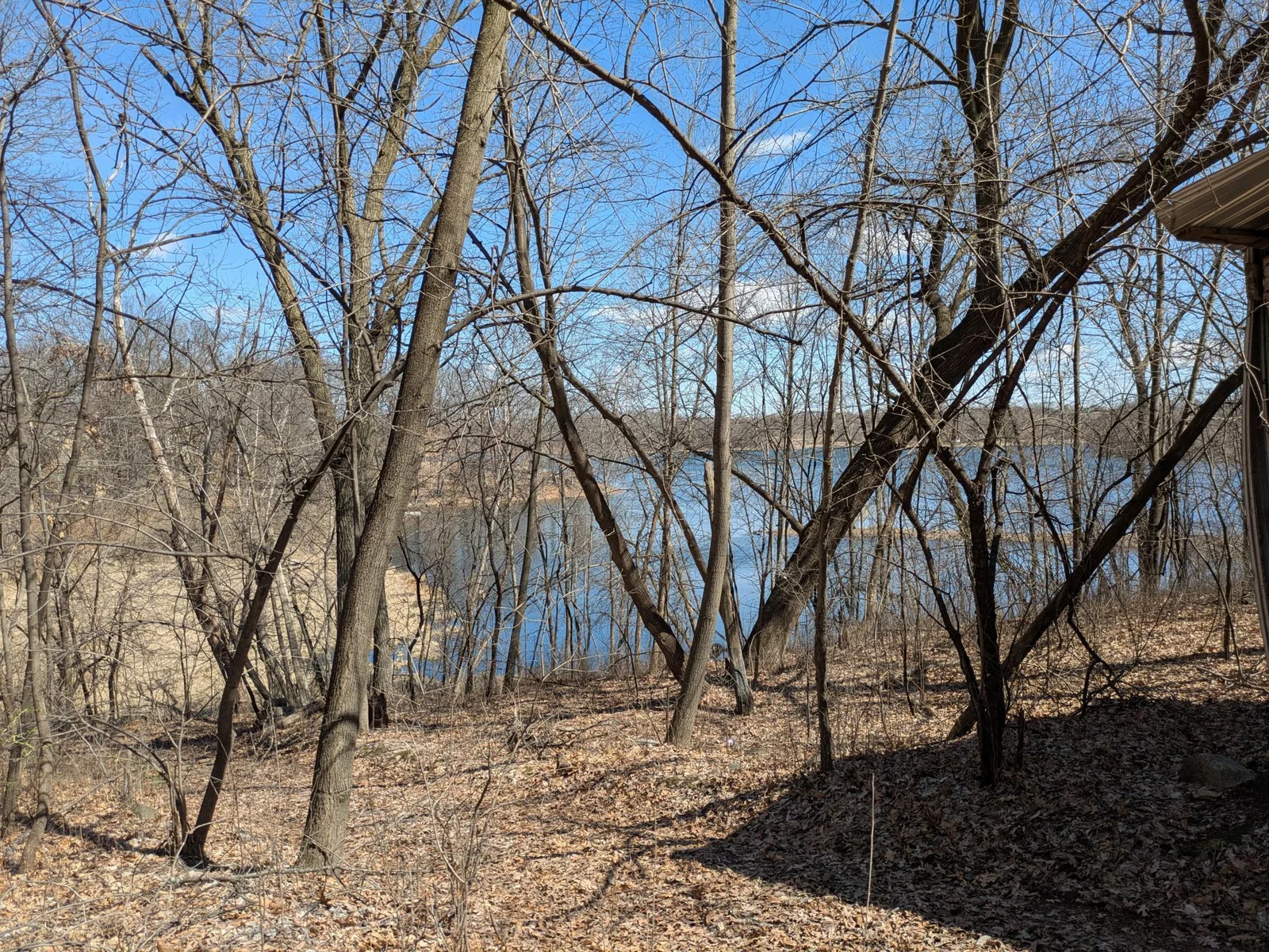 Part of the property looking down to Kingsley Lake