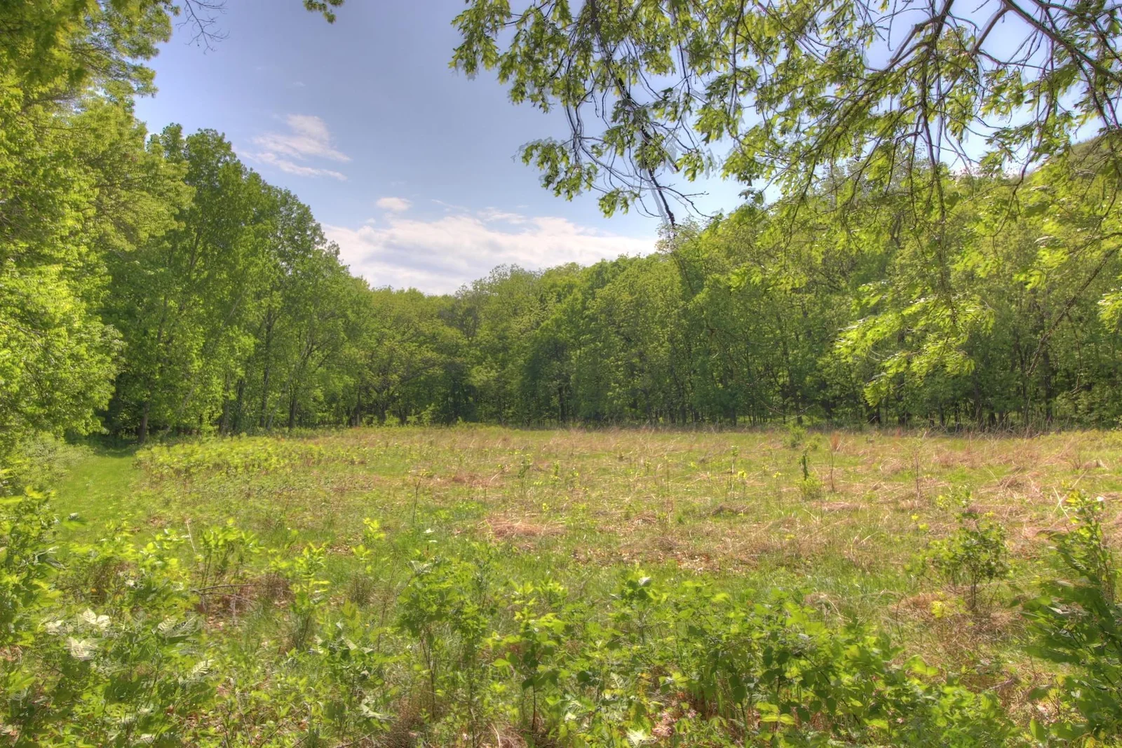 Your backyard is 2600 Acre Frontenac State Park