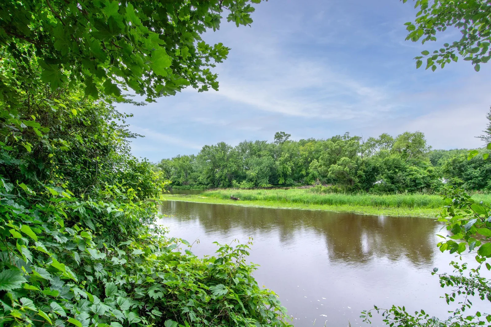Gorgeous River Views