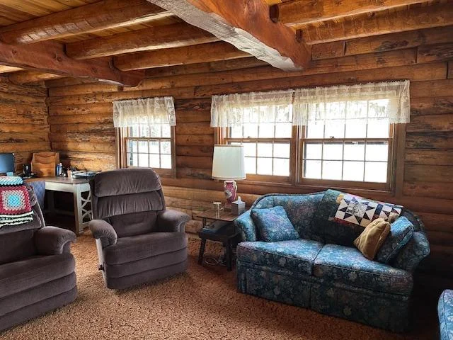 Lots of Windows for Bright Interior.