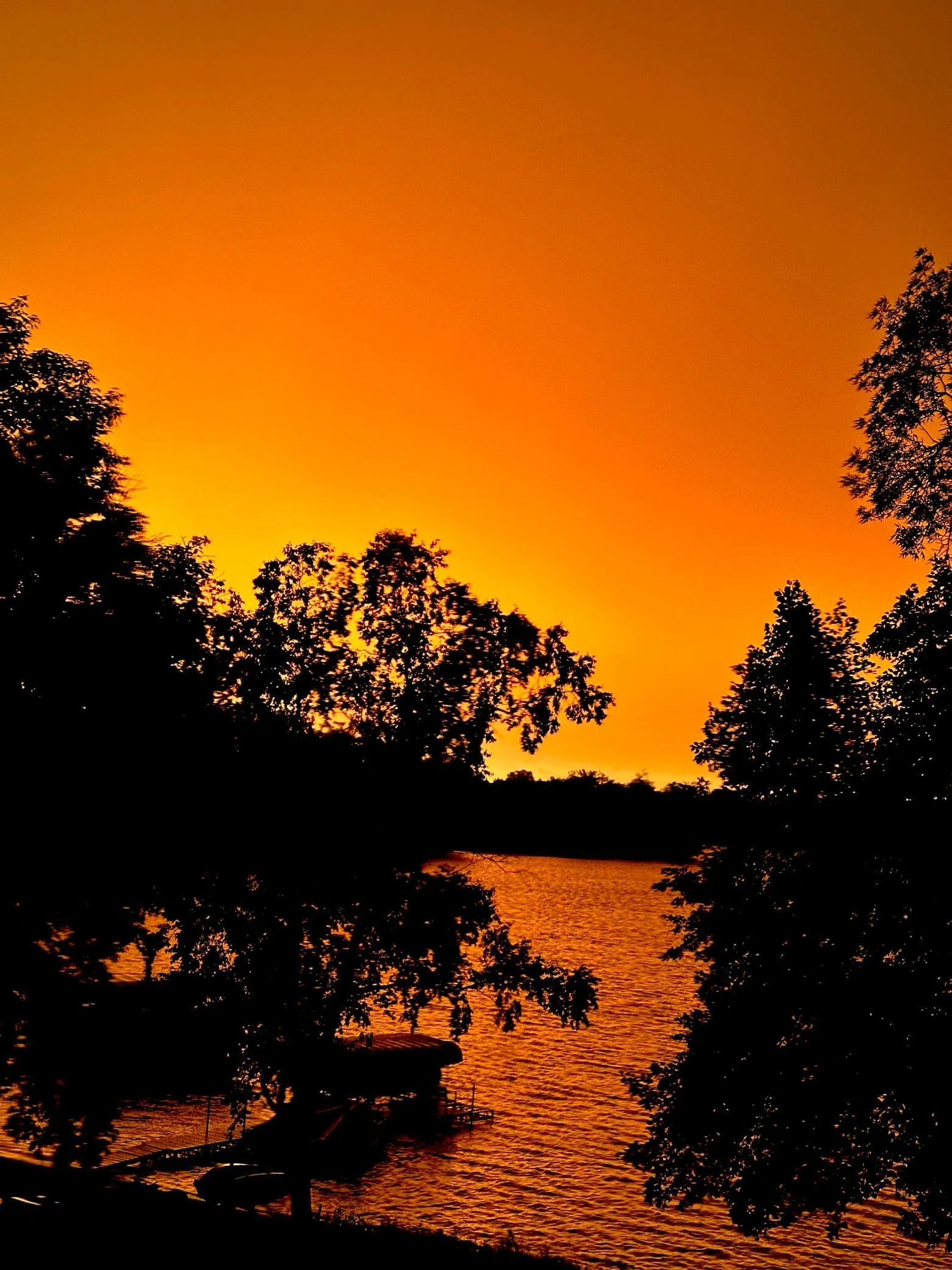Thumbnail photo 45