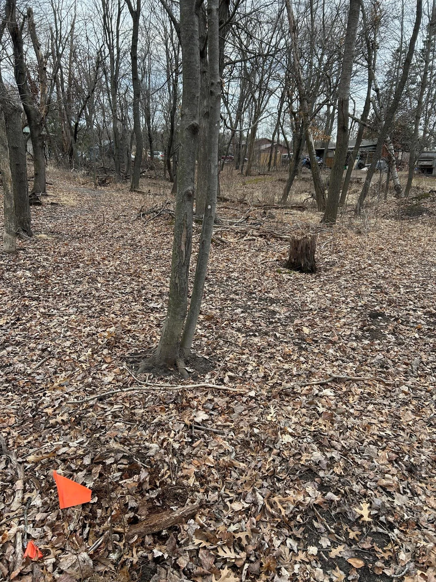 Thumbnail photo 7
