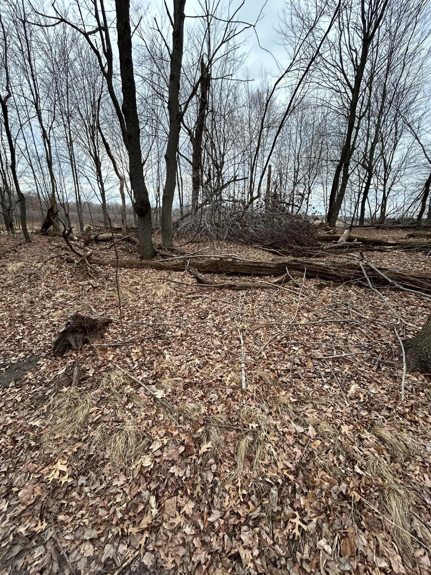 Thumbnail photo 8