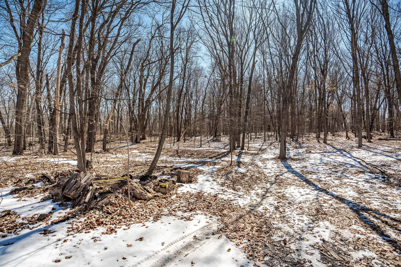 45715 Chippewa Trail Vining-165.jpg