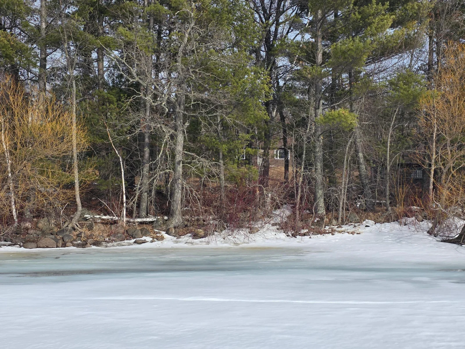 View from lake.jpg