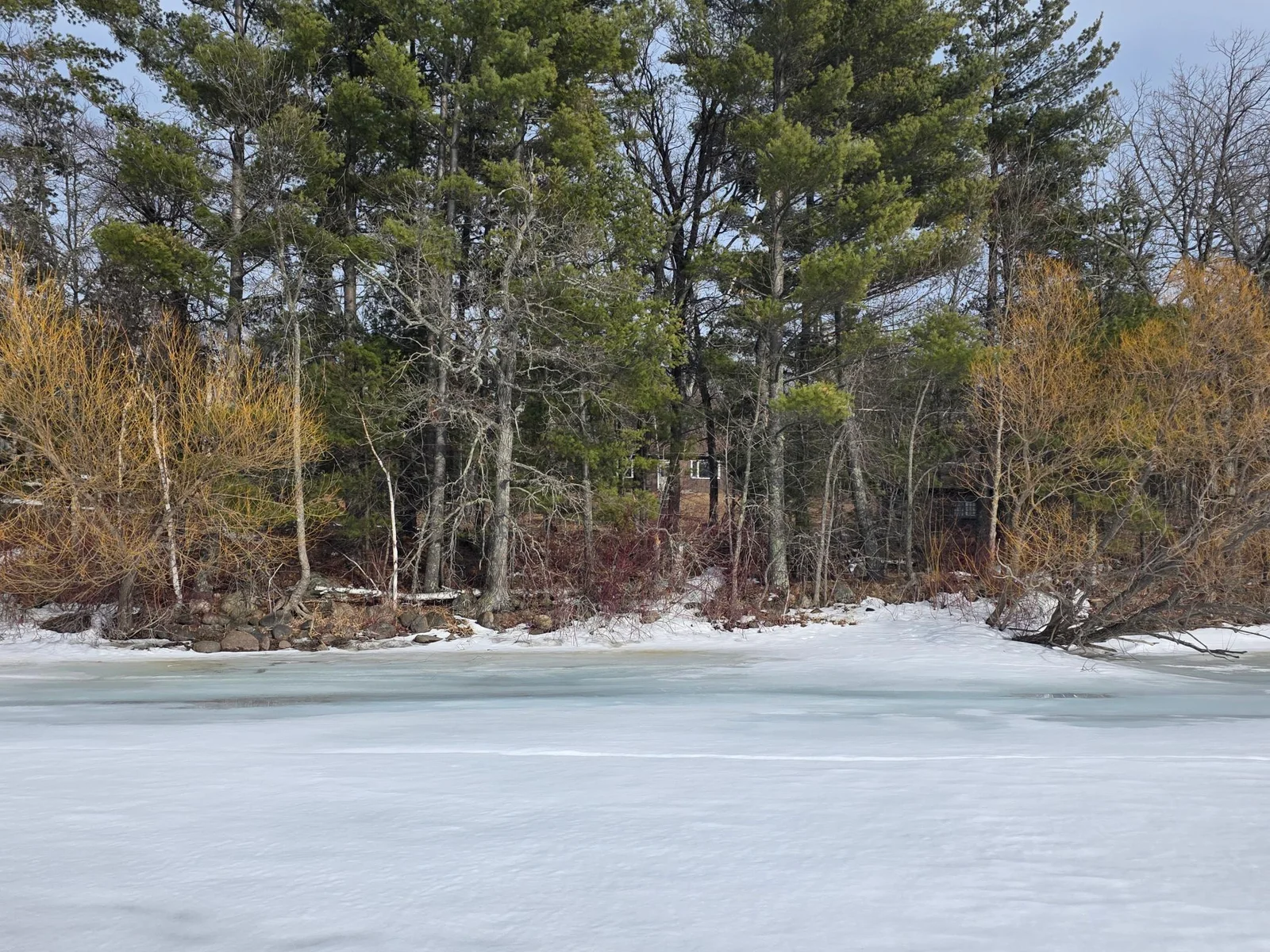 View from Lake.jpg