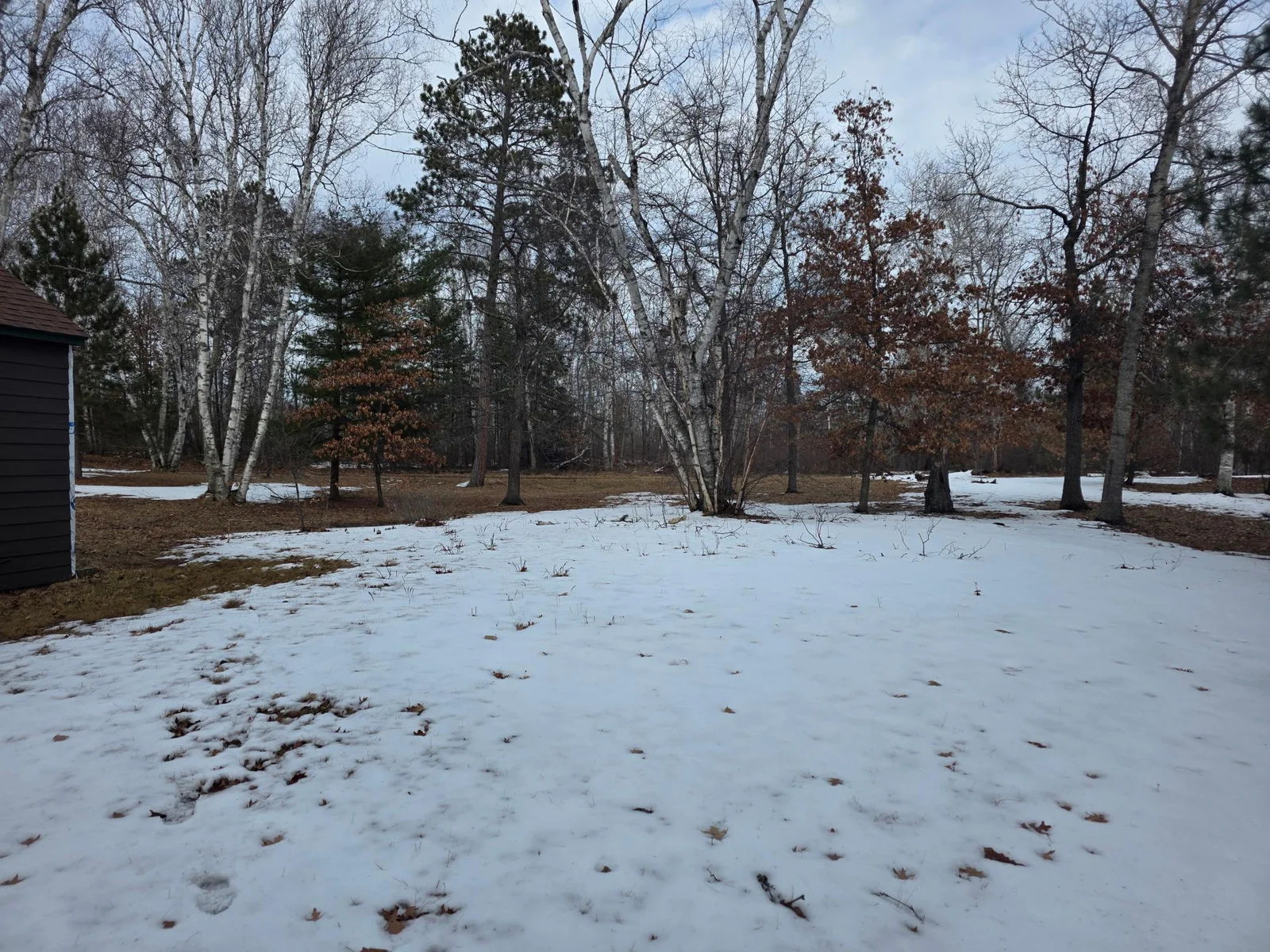 Wooded Area behind Chapel and Cabin.jpg