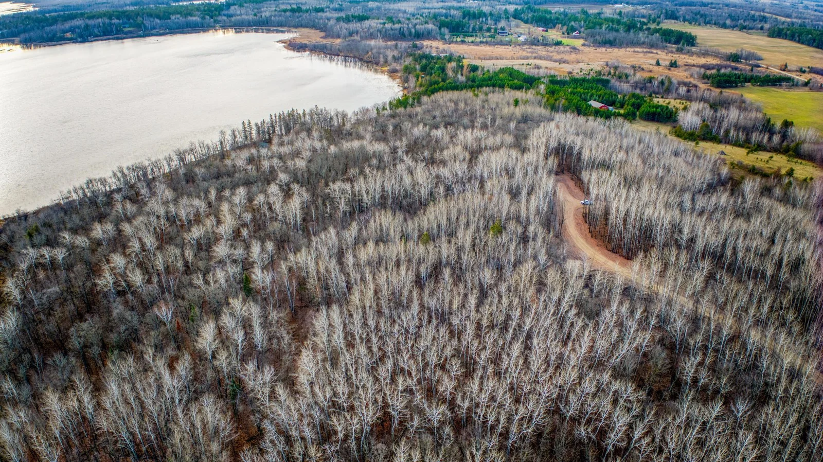 Wooded Lots.jpg