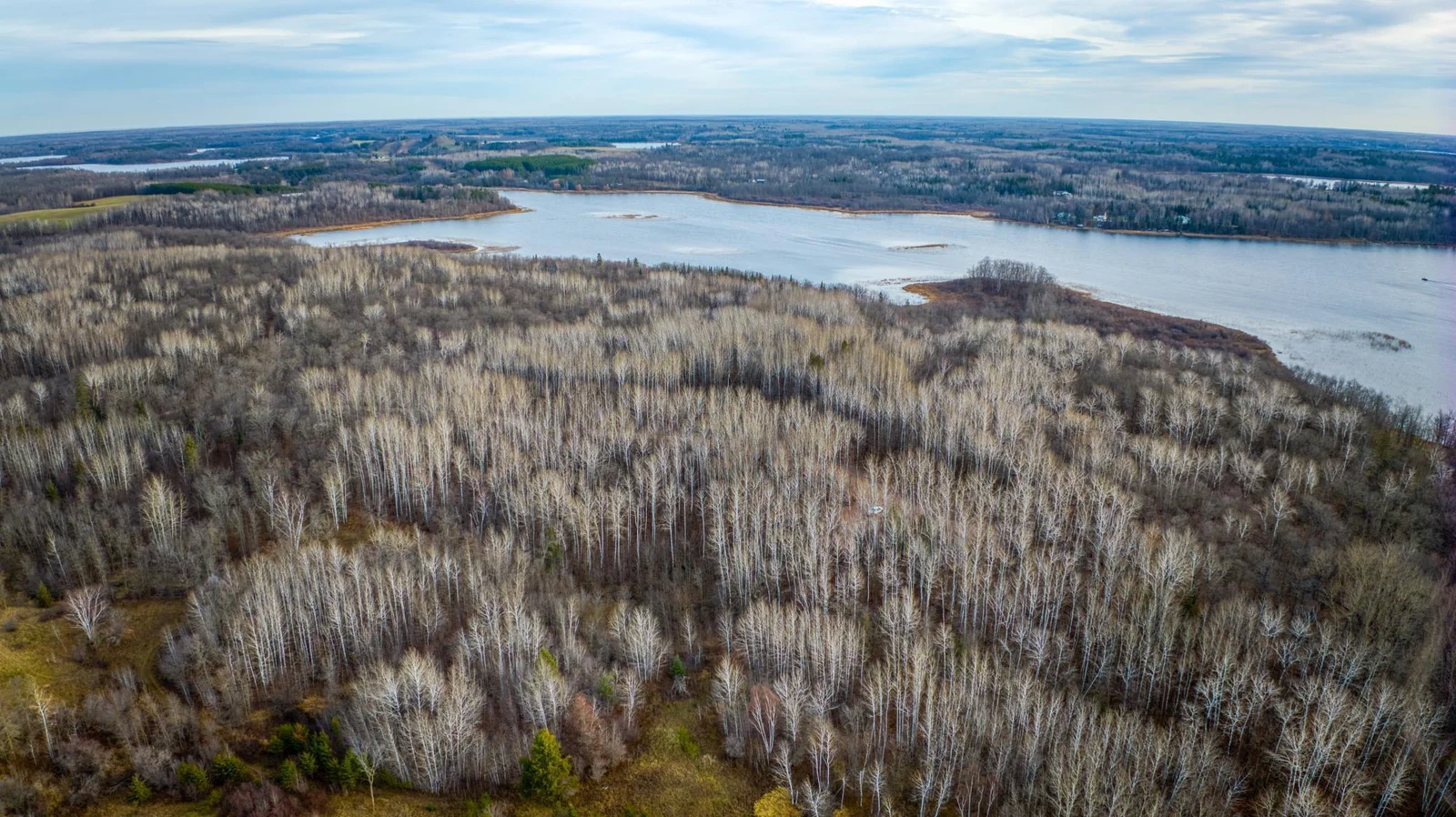 Wooded 11+ Acre Lots.jpg