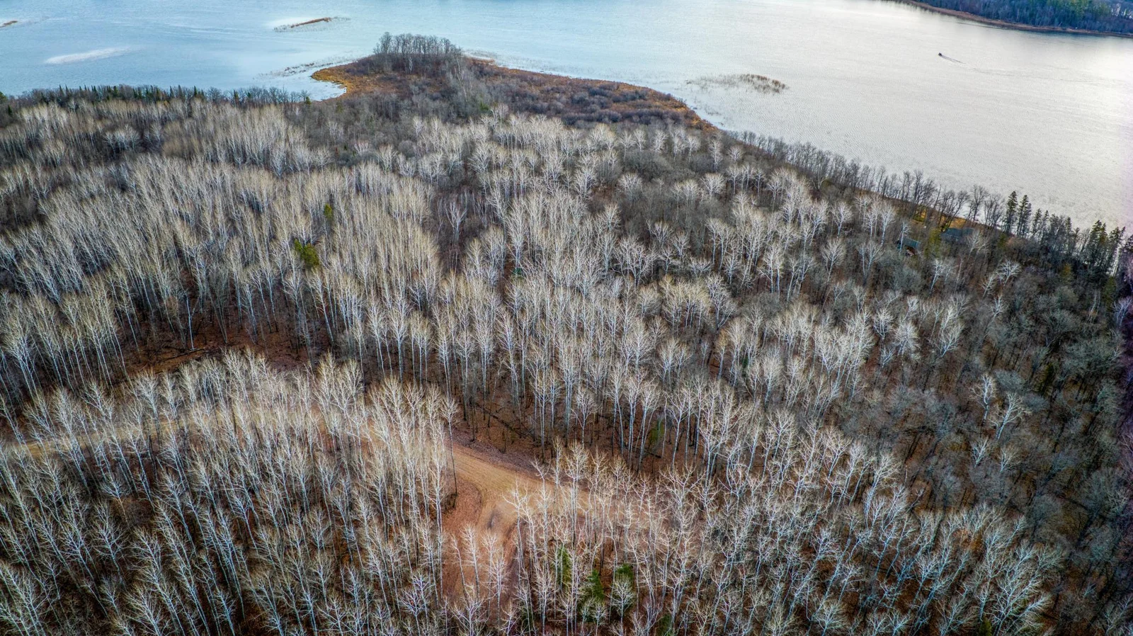 Wooded Lots.jpg