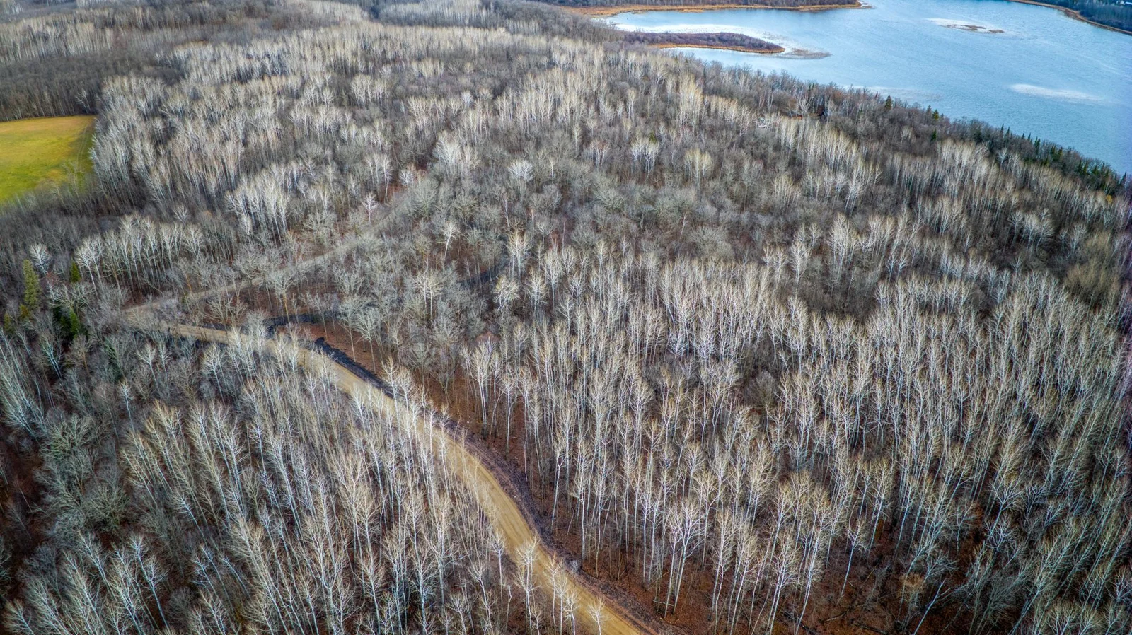 Wooded Lots.jpg