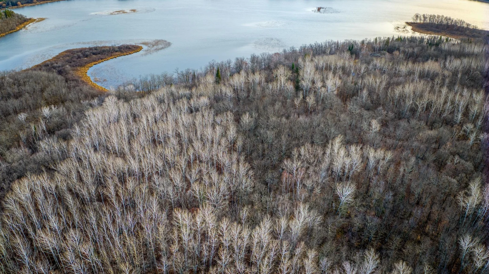 Wooded Lots on Little Turtle Lake 2.jpg