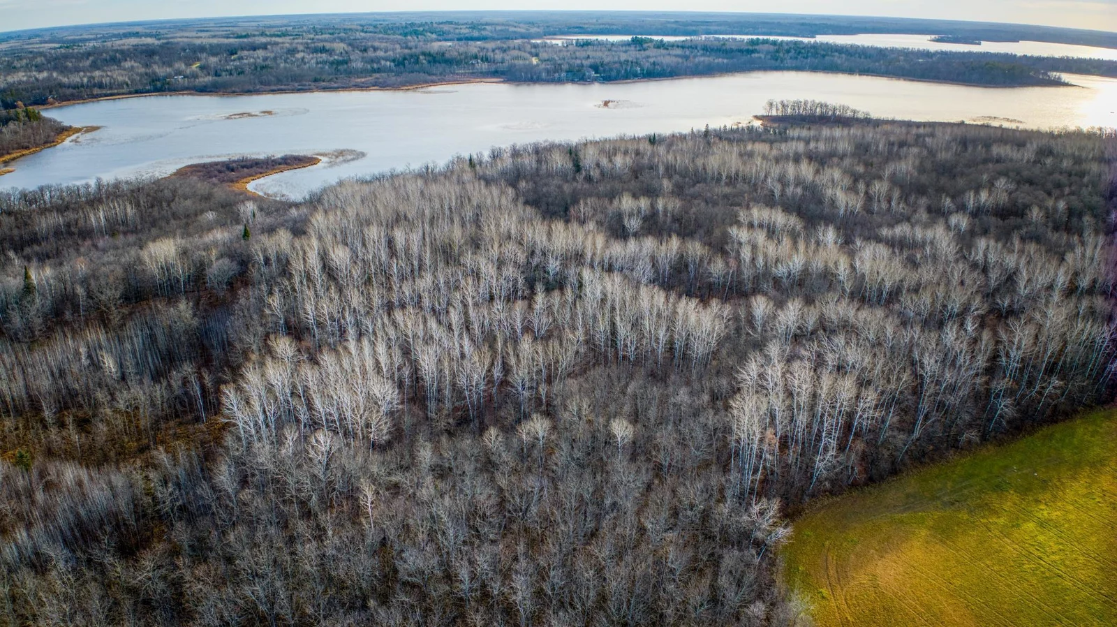 Wooded Lots on Little Turtle Lake.jpg