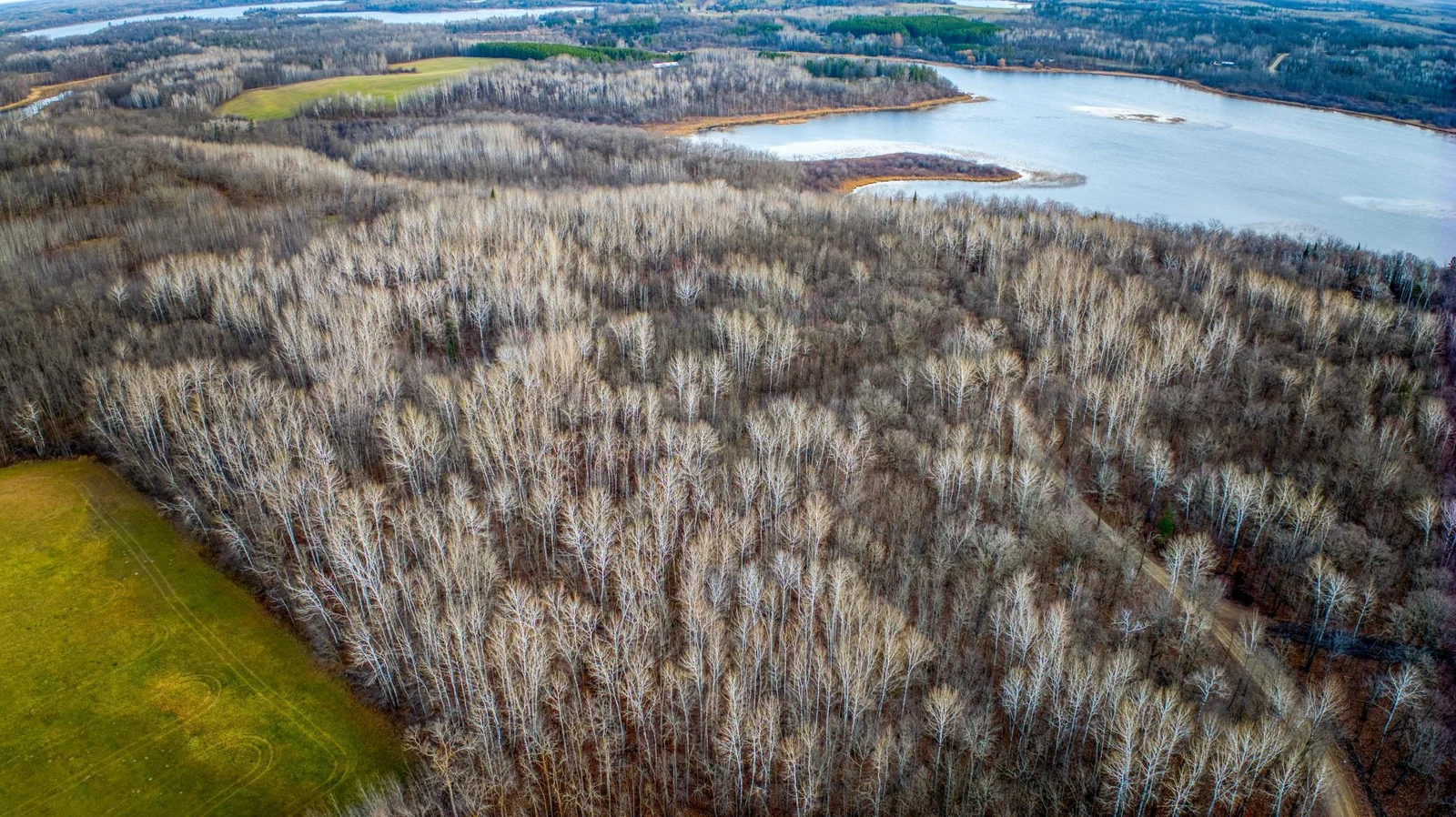 Wooded Lots.jpg
