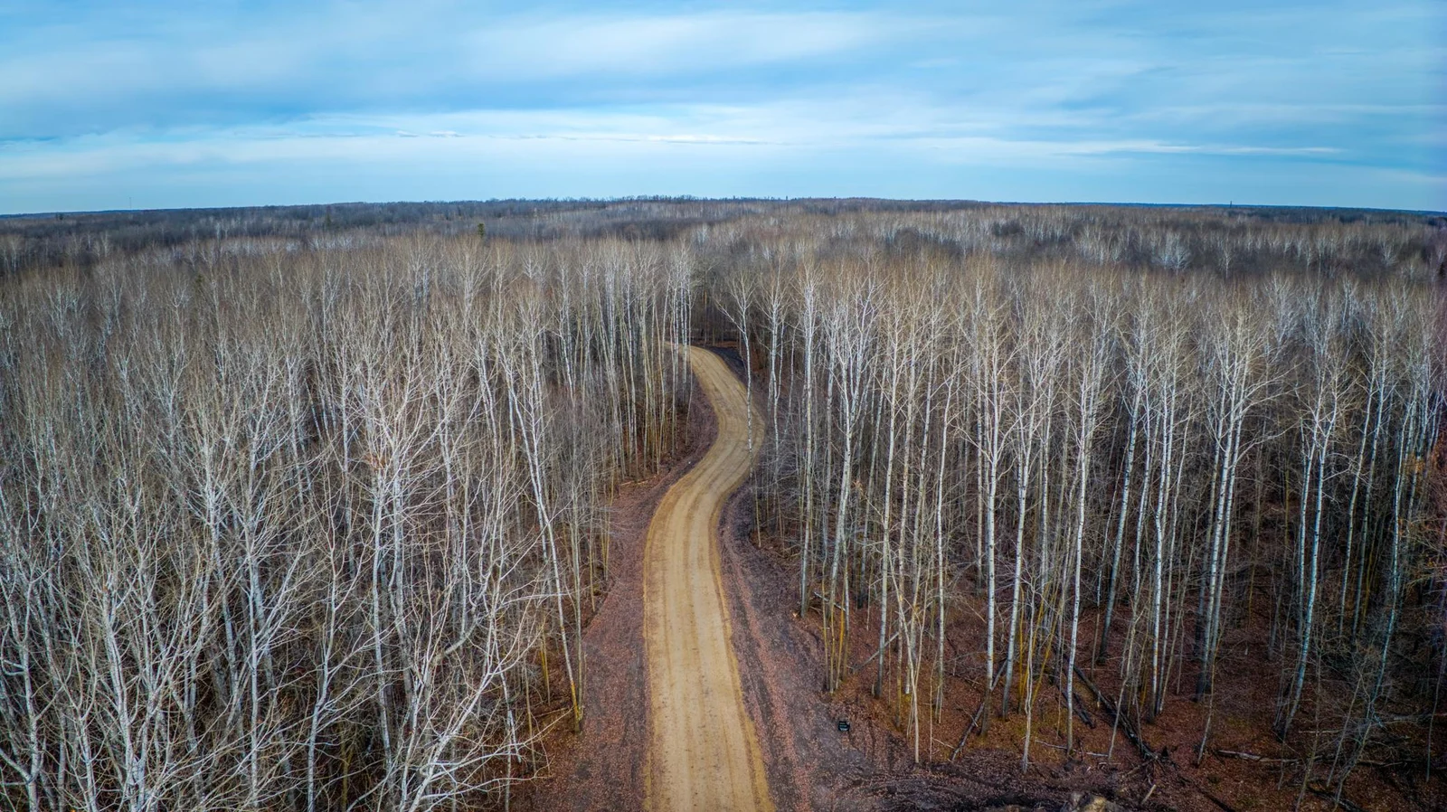 New Road to Lots.jpg