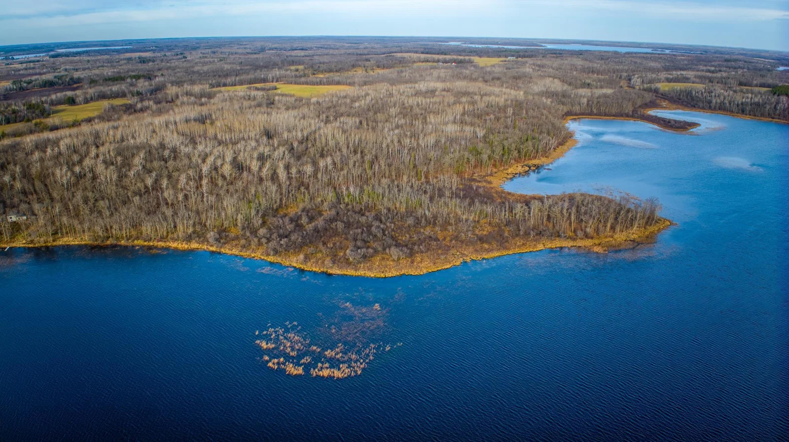 Lakeshore.jpg