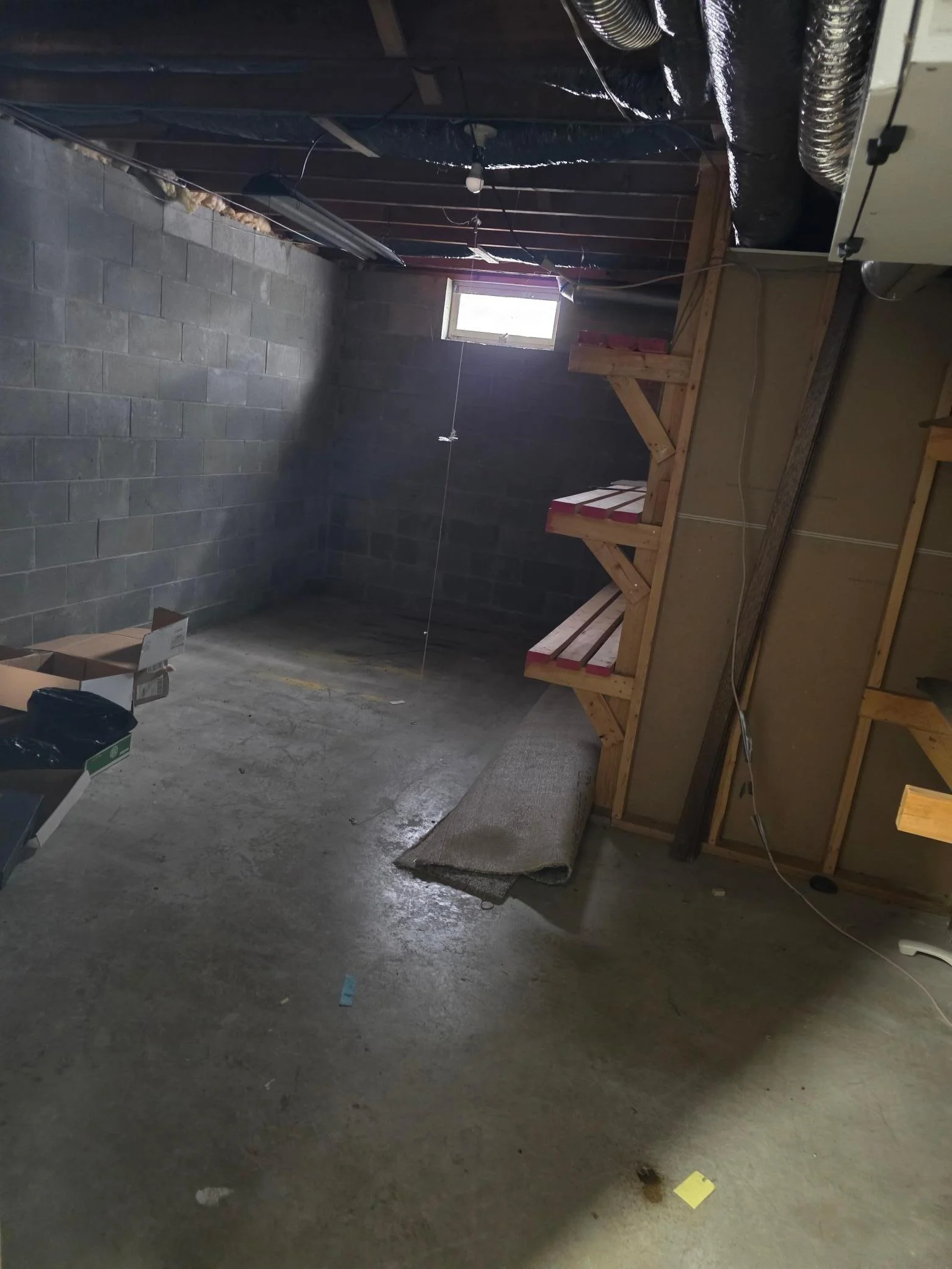 basement storage.jpg