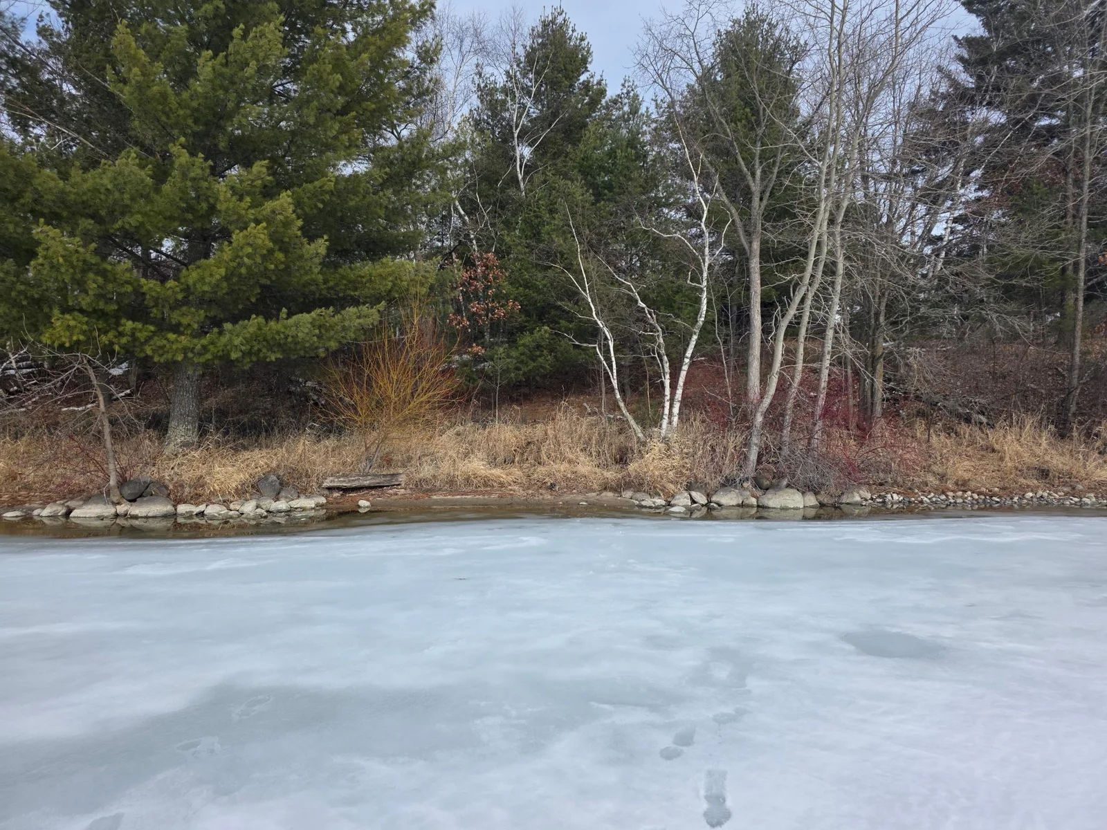 View from Lake.jpg