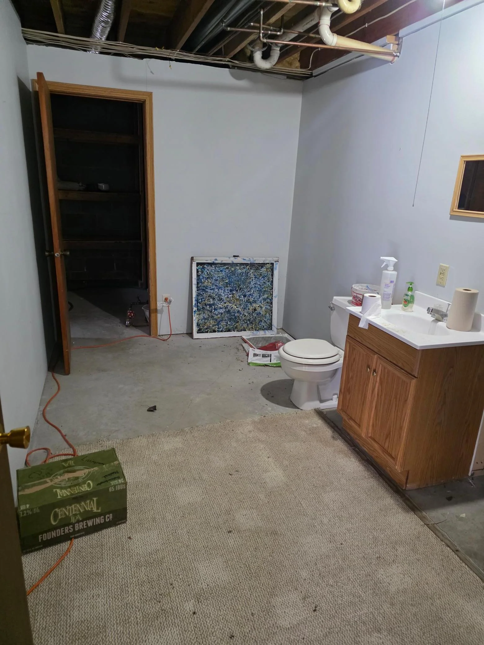 Basement Bathroom.jpg