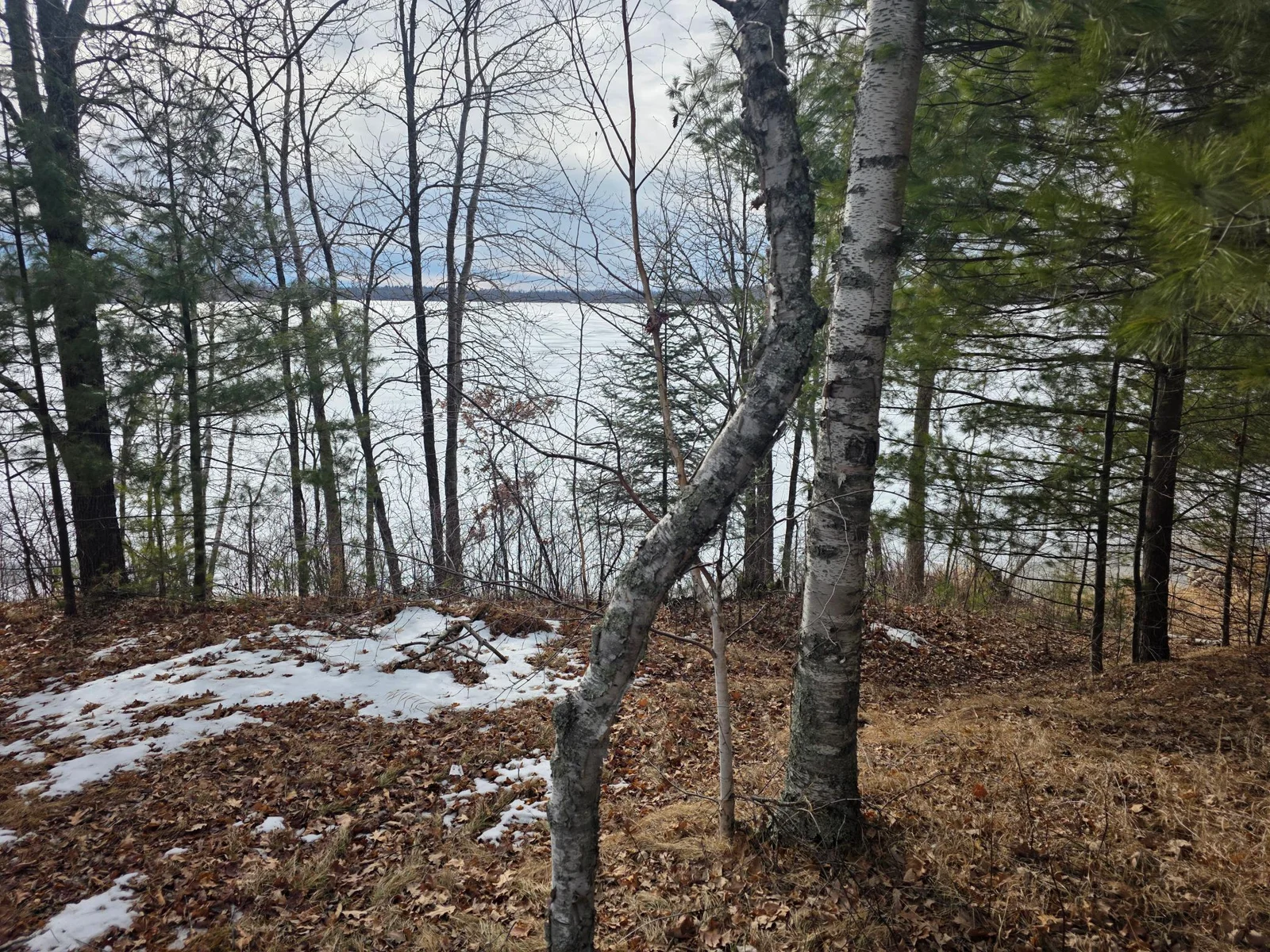 Lake Shore.jpg